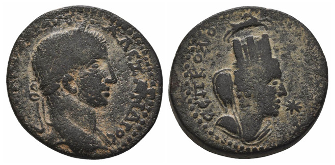 7115 Nisibis Mesopotamia Severus Alexander AE.jpg