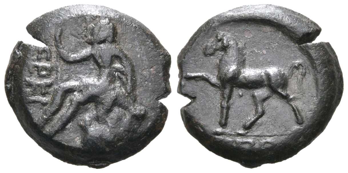 6707 Cercinites Paeninsula Taurica AE