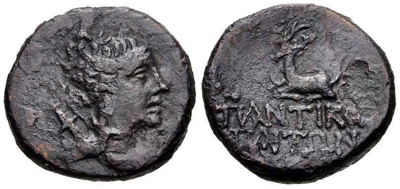 4810 Panticapaeum Bosporus Cimmerius AE