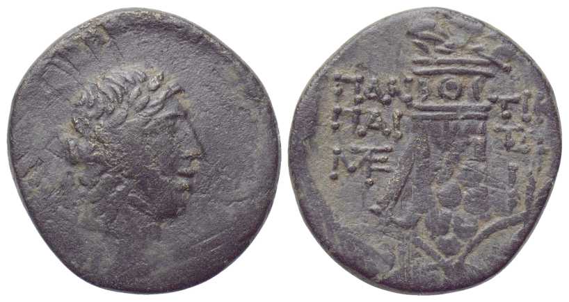 6140 Pantikapaeum Bosporus Cimmerius AE