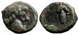 3171 Phanagoria Bosporus Cimmerius AE