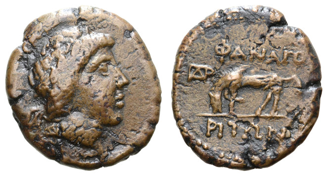 7145 Phanagoria Bosporus Cimmerius AE