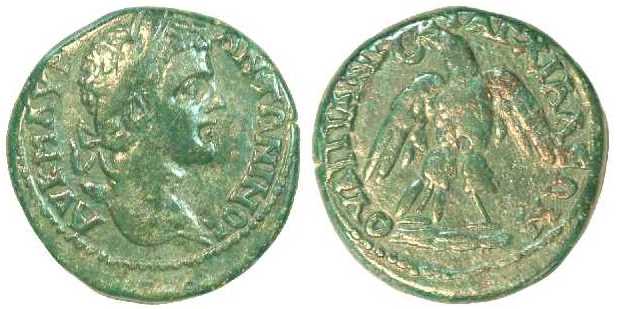 1664 Thrace Anchialus Caracalla AE