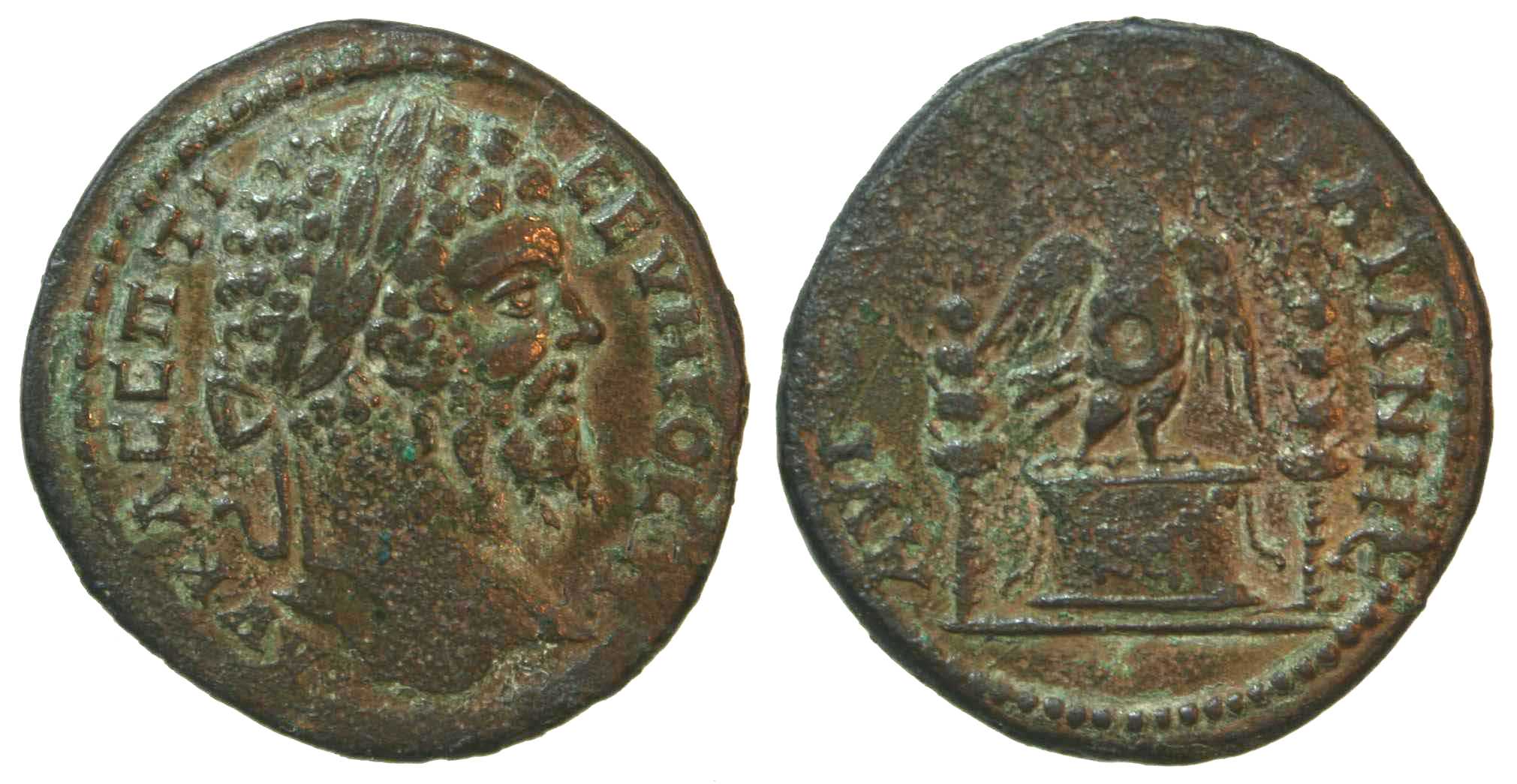 4724 Augusta Traiana Septimius Severus AE