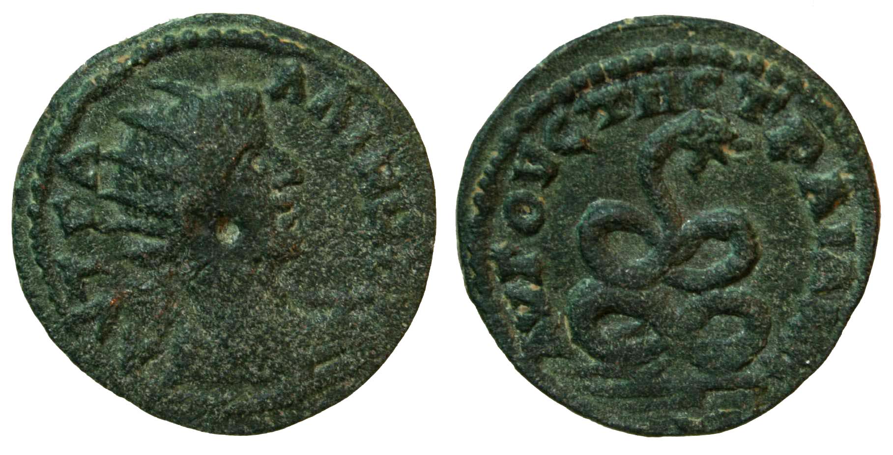 4729 Augusta Traiana Thracia Gallienus AE