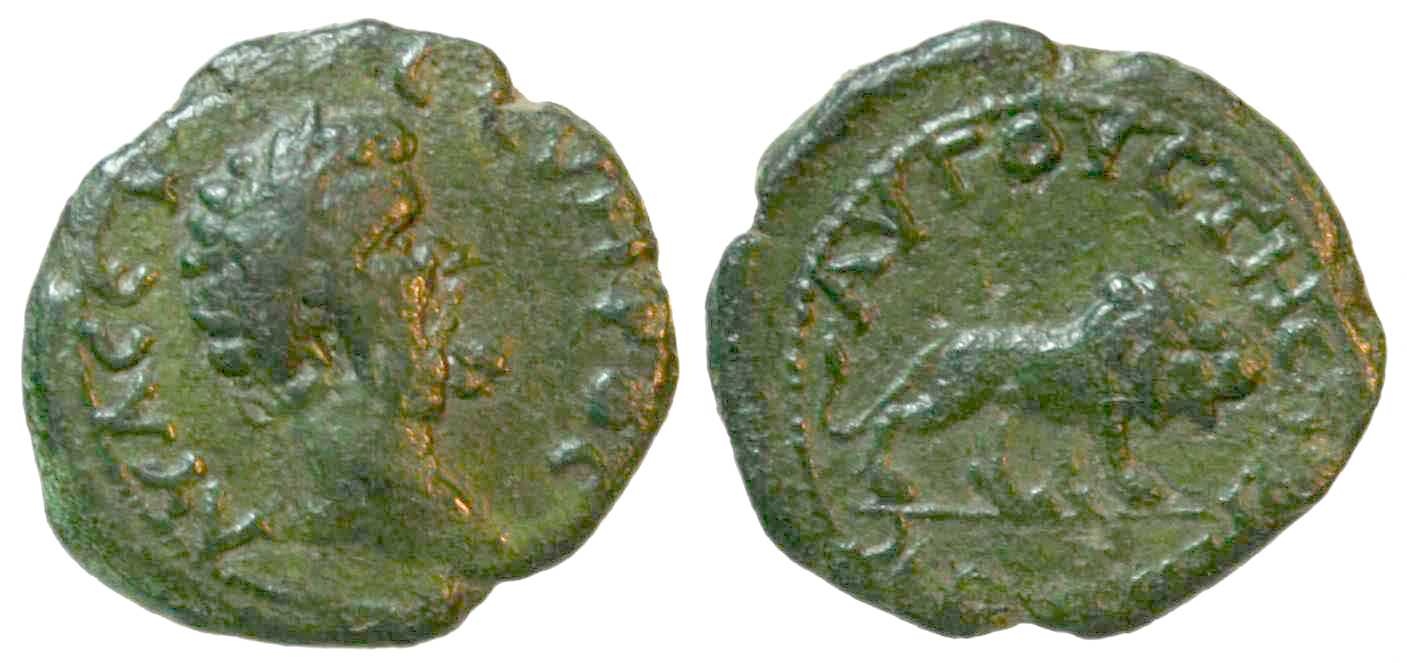4733 Augusta Traiana Septimius severus AE