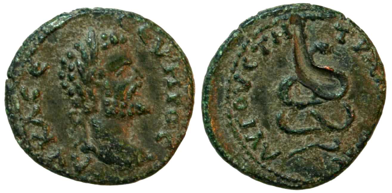 4734 Augusta Traiana Septimius severus AE