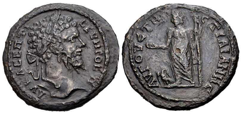 5007 Augusta Traiana Septimius Severus AE