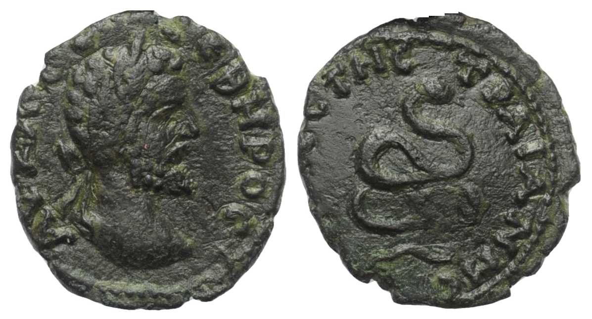 6745 Augusta Traiana Septimius severus AE