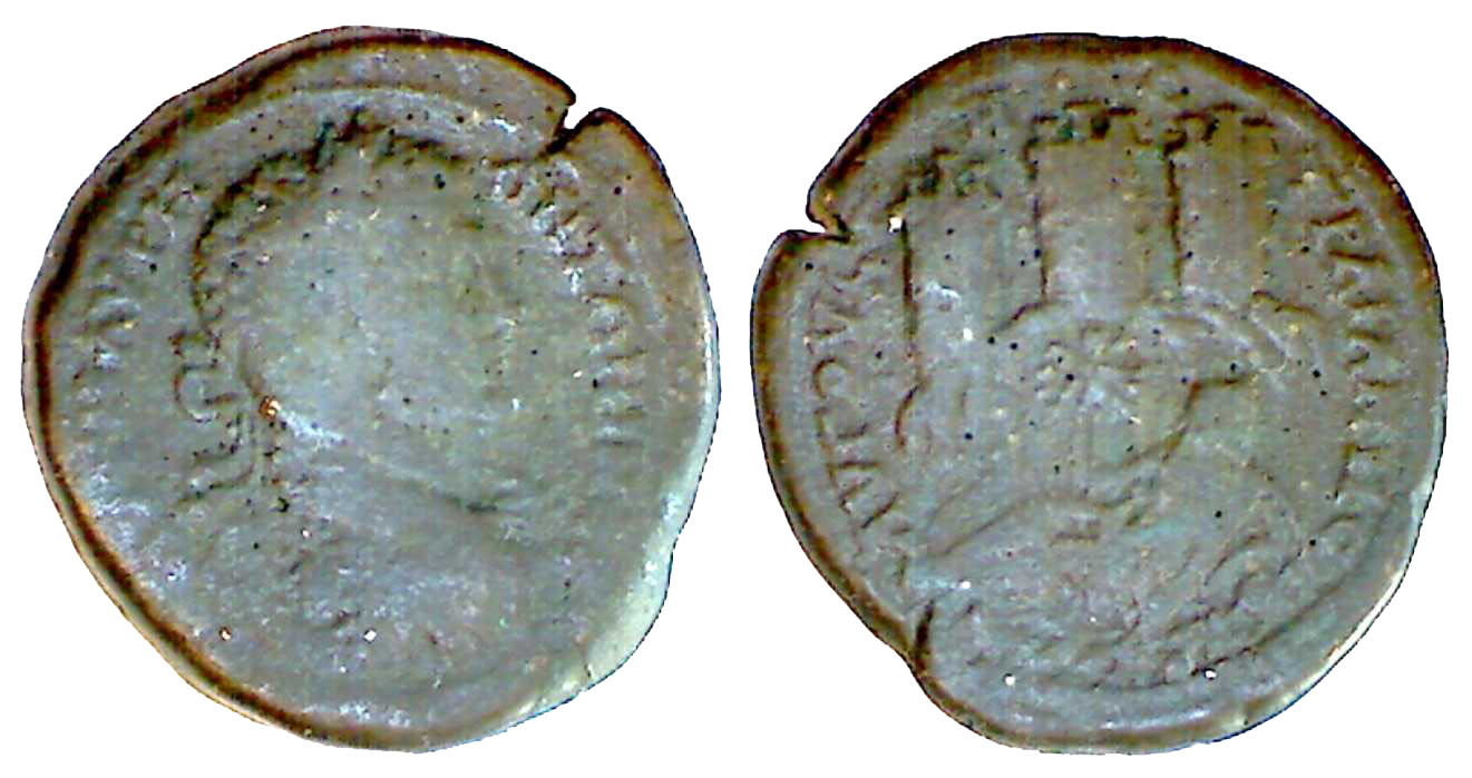 v3895 Augusta Traiana Caracalla AE Forgery