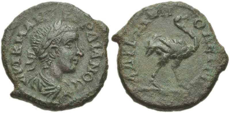 3394 Hadrianopolis Thracia Gordianus III AE
