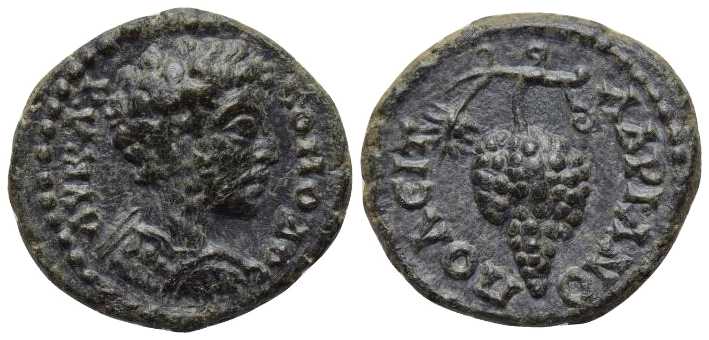 v4016 Hadrianopolis Thracia Commodus AE