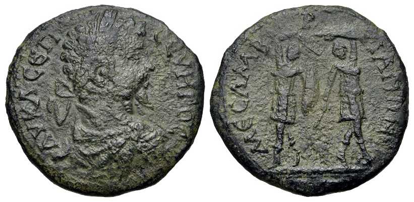 v4169 Mesembria Thracia Septimius Severus AE