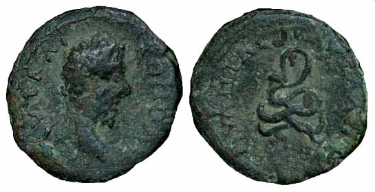 5349 Pautalia Thracia Commodus AE
