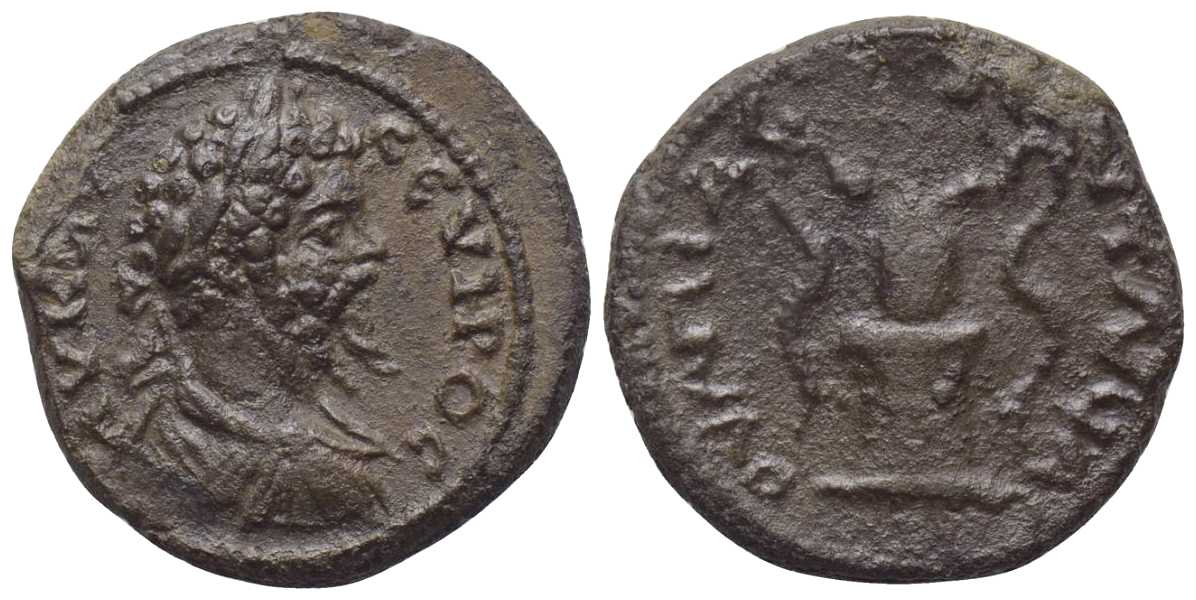 v4026 Pautalia Thracia Septimius Severus AE