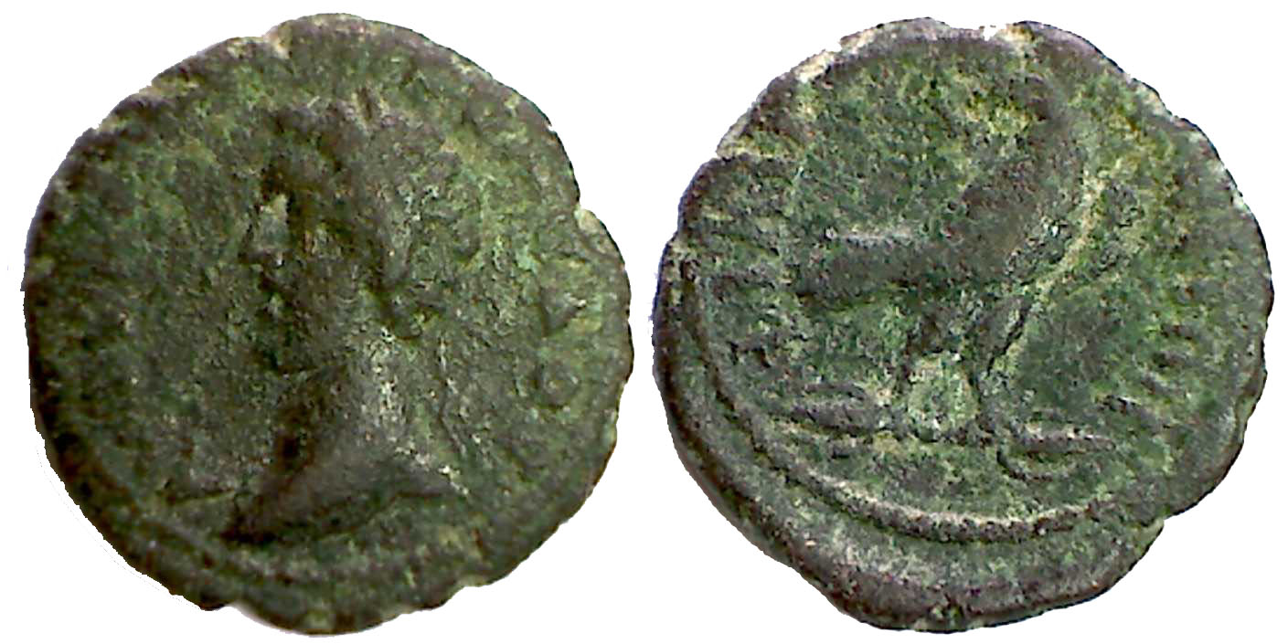 6096 Philippopolis Thracia Commodus AE
