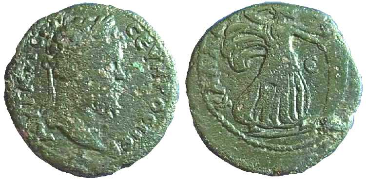 2146 Callatis Moesia Inferior Septimius Severus AE