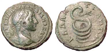 3114 Callatis Moesia Inferior Gordianus III AE