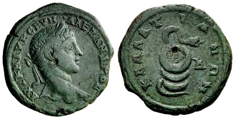 4262 Callatis Moesia Inferior Severus Alexander AE