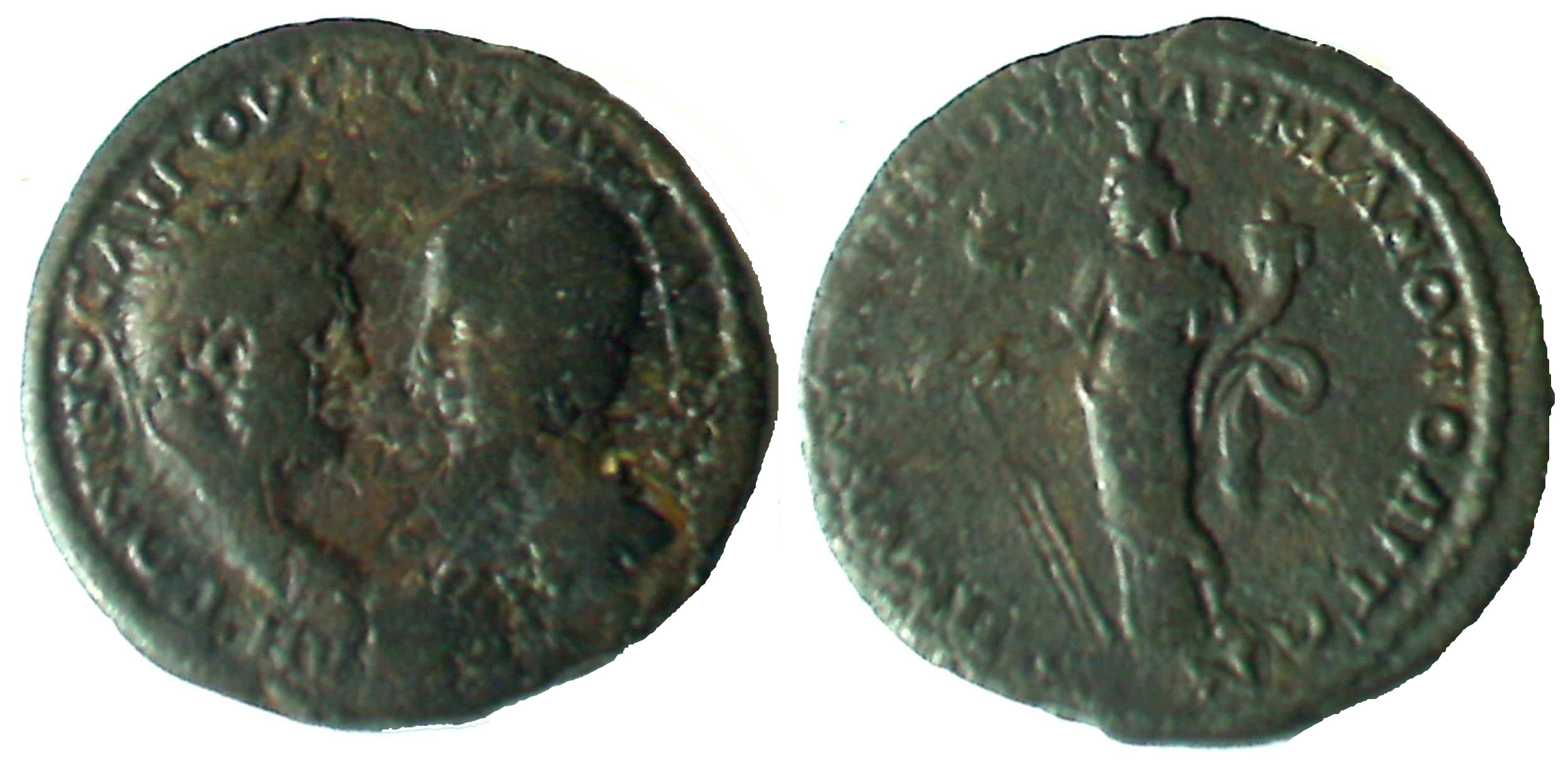 5819 Marcianopolis Moesia Inferior Caracalla & Iula Domna AE