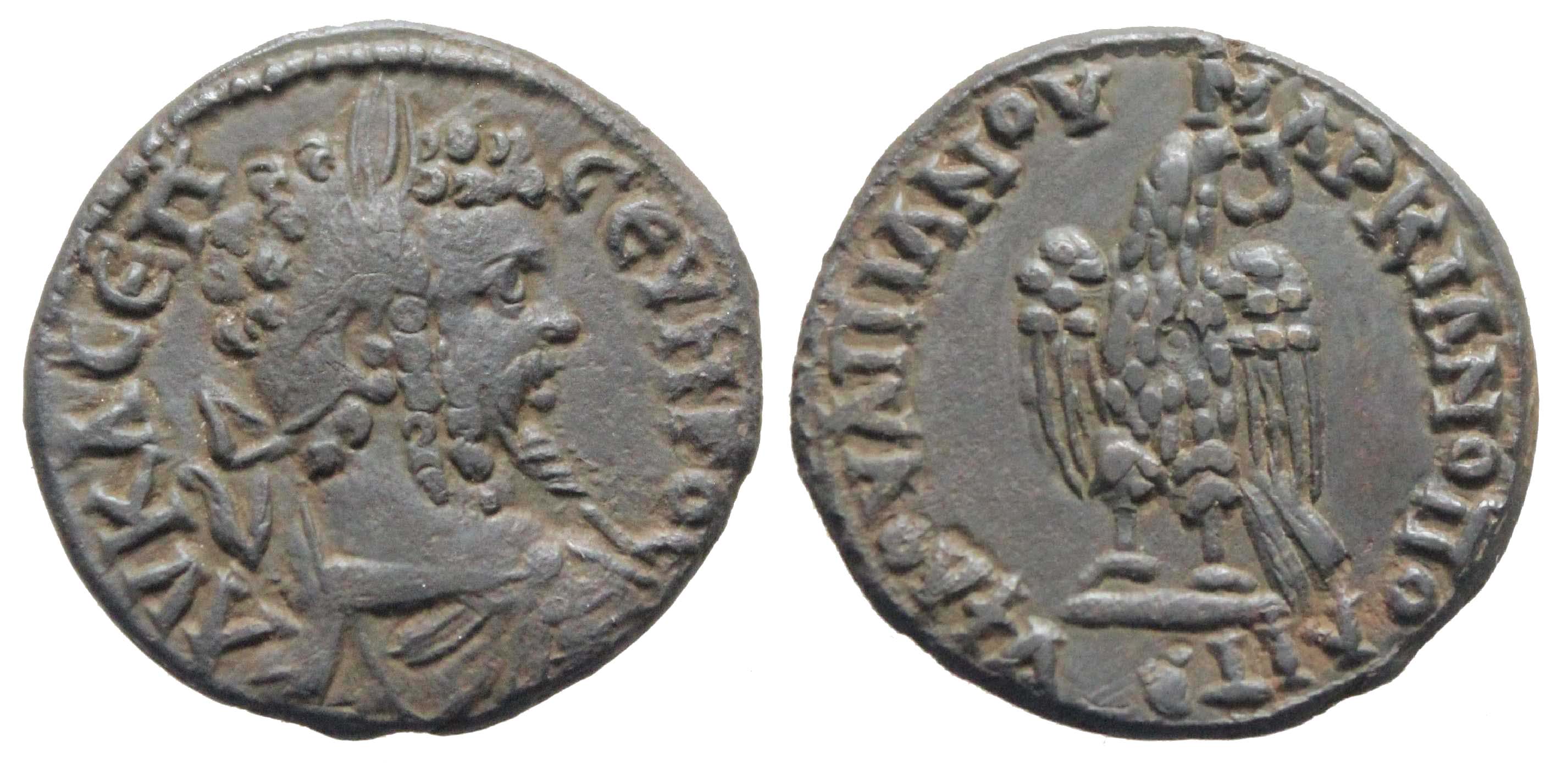 6210 Marcianopolis Moesia Inferior Septimius Severus AE
