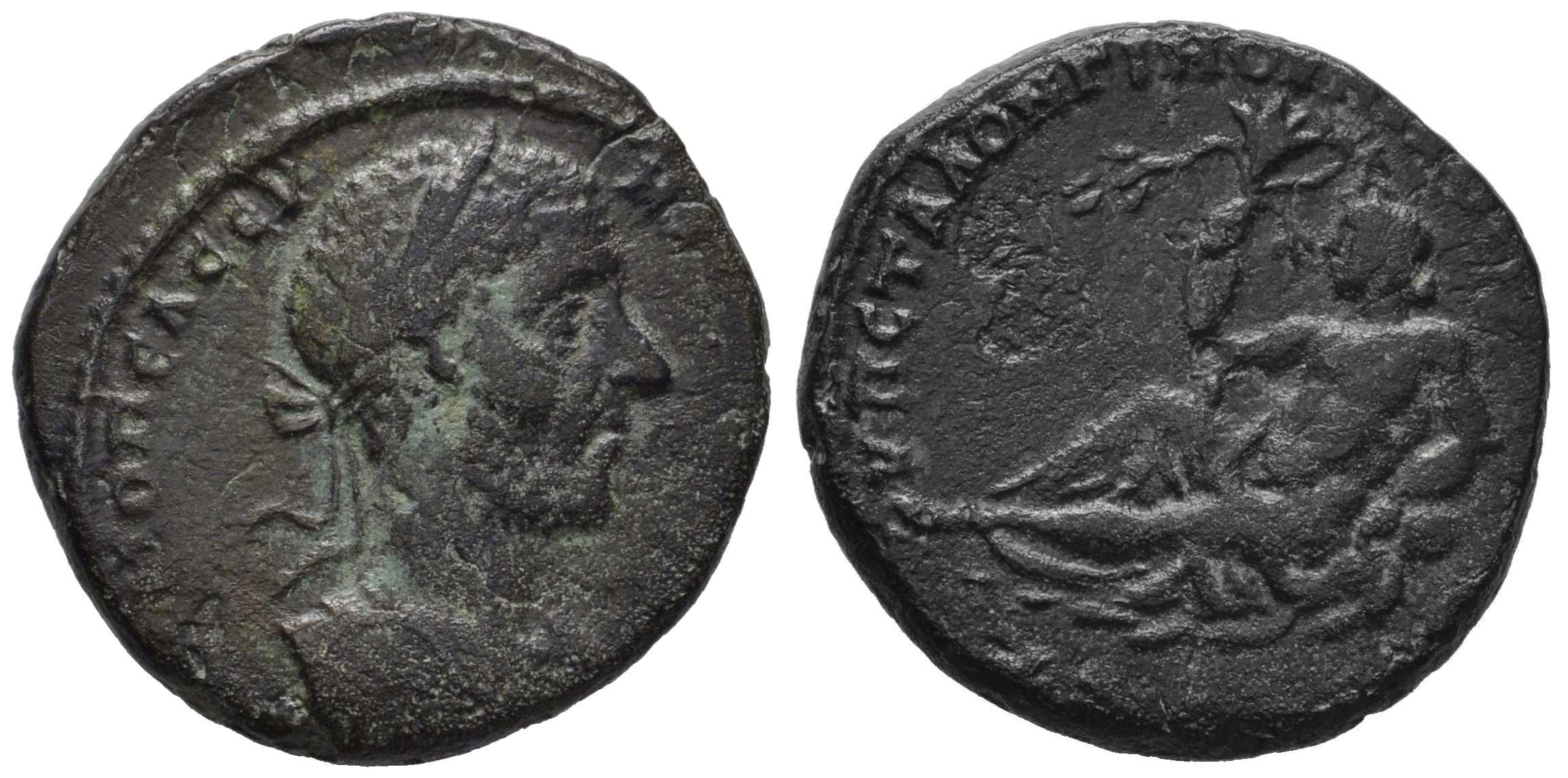 5913 Nicopolis ad Istrum Moesia Inferior Macrinus AE