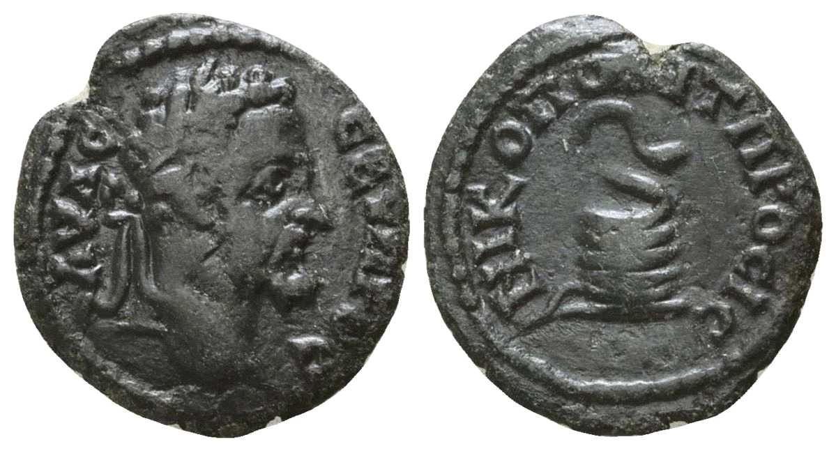 6175 Nicopolis ad Istrum Moesia Inferior Septimius Severus AE