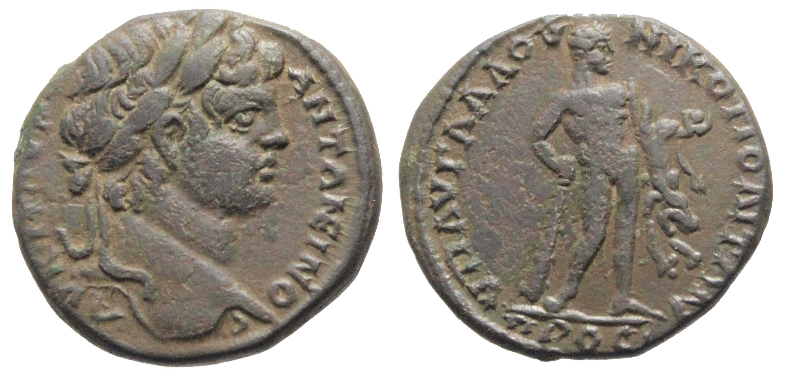 6209 Nicopolis ad Istrum Moesia Inferior Caracalla AE