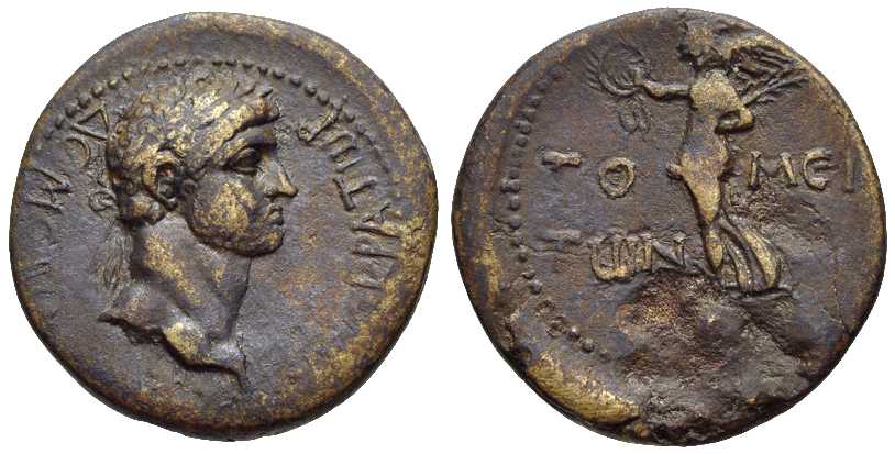 3772 Tomis Moesia Inferior Domitianus AE