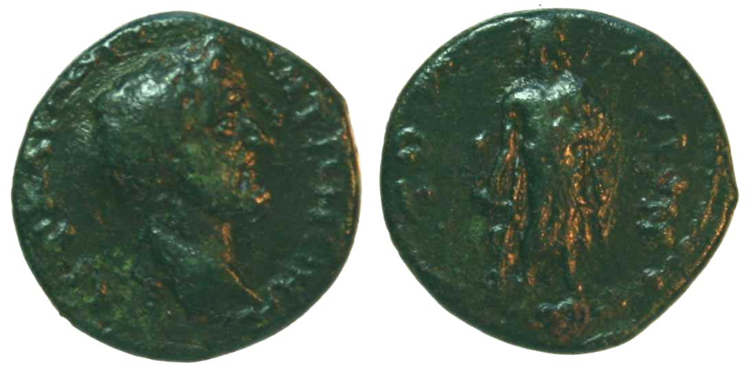 4863 Tomis Moesia Inferior Antoninus Pius AE