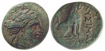 2659 Lysimachia Chersonesus Thraciae AE