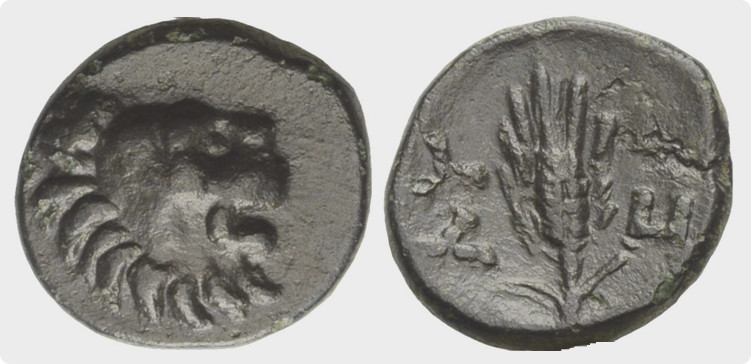7371 Lysimachia Chersonesus Thraciae AE