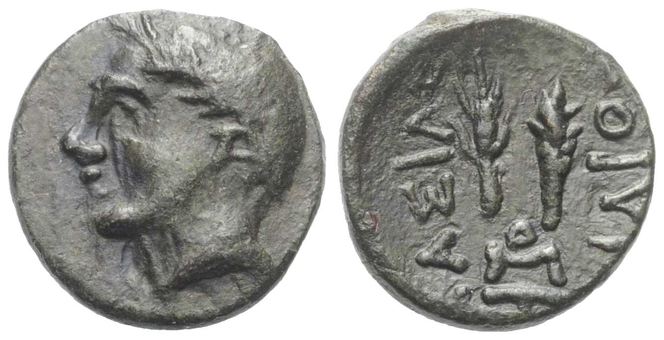 6684 Aelis Rex Scythicus Thraciae AE
