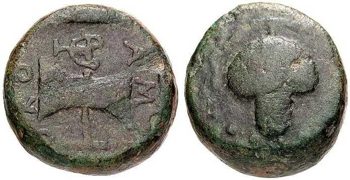 3515 Amatocus II Rex Thraciae AE