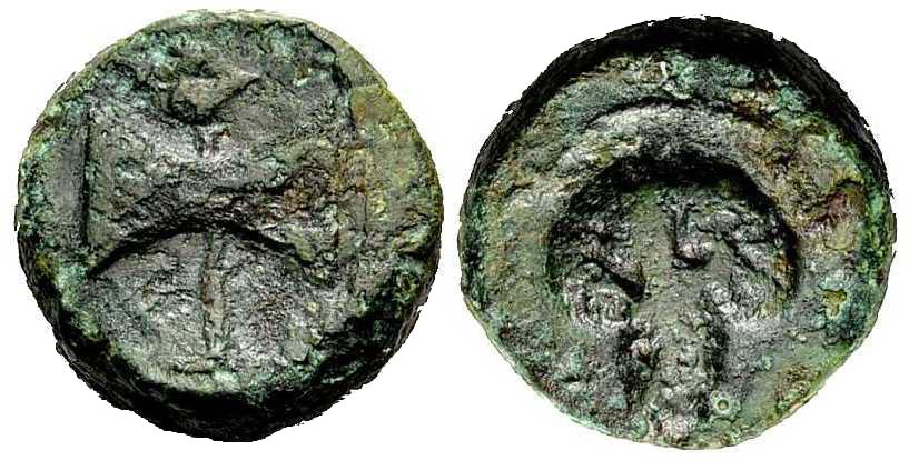 4070 Amatocus II Rex Thraciae