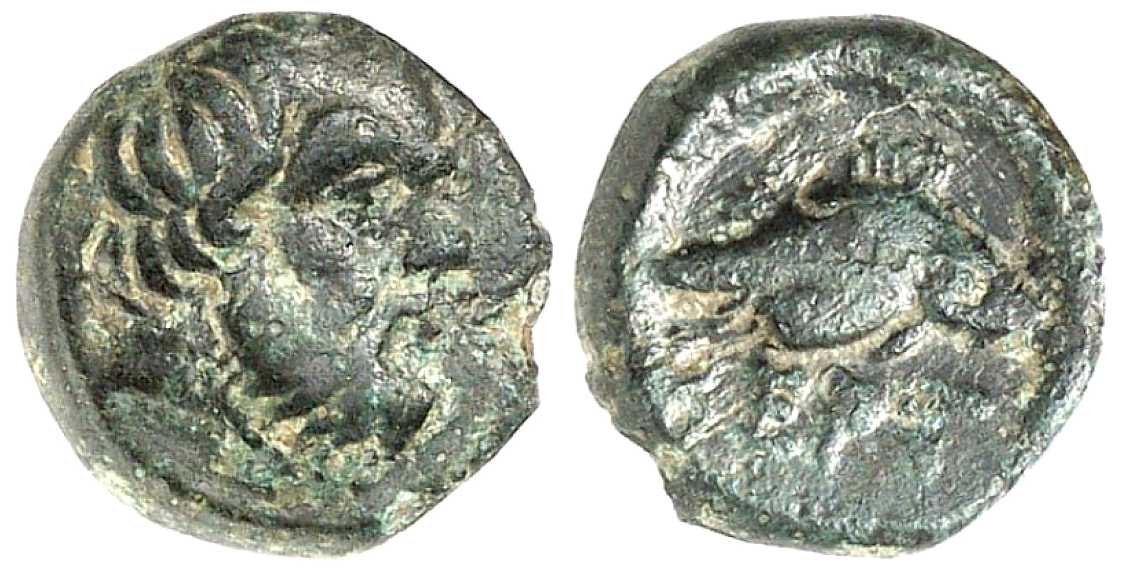 4035 Bergaeus Rex Thraciae AE