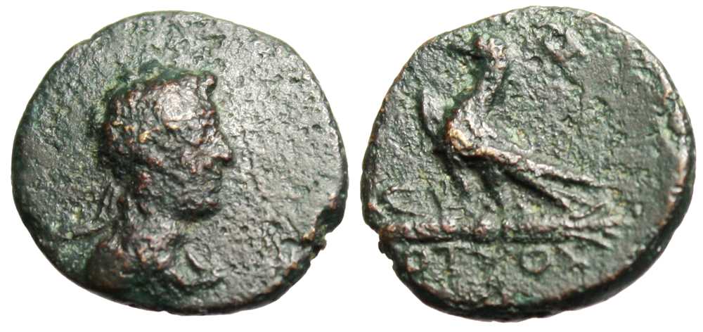 5288 Cotys II (VI) Rex Thraciae AE