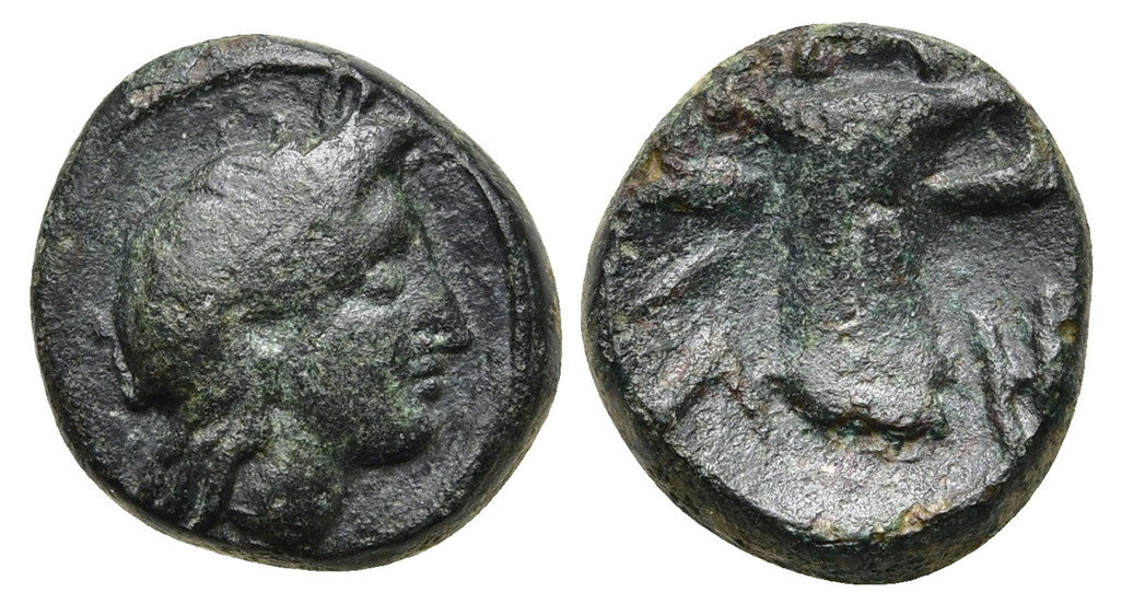 7520 Philetas Rex Thraciae AE