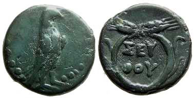 2137 Seuthes III Rex Thraciae AE