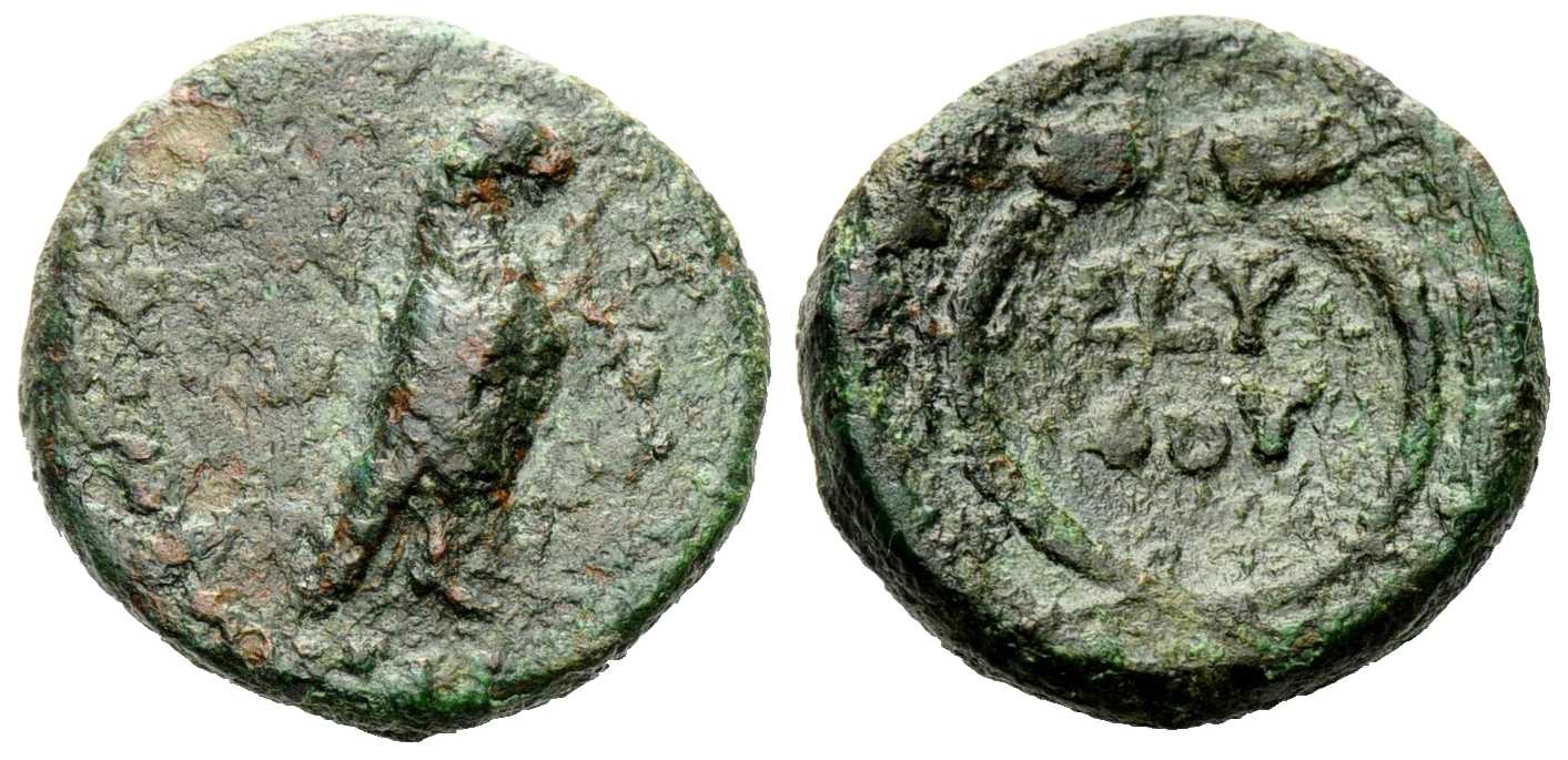 v3081 Seuthes III Rex Thraciae AE