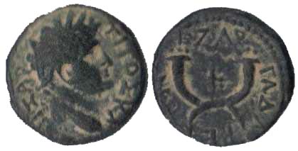 3323 Gadara Decapolis-Arabia Titus AE