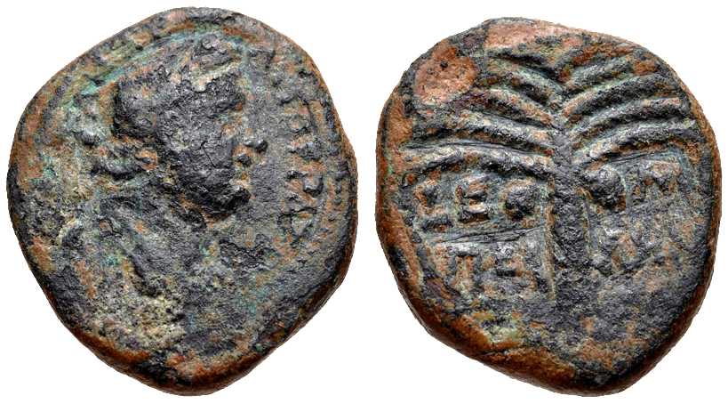 3920 Pella Decapolis-Arabia Domitianus AE