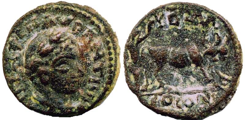 1364 Petra Decapolis-Arabia Elagabalus AE