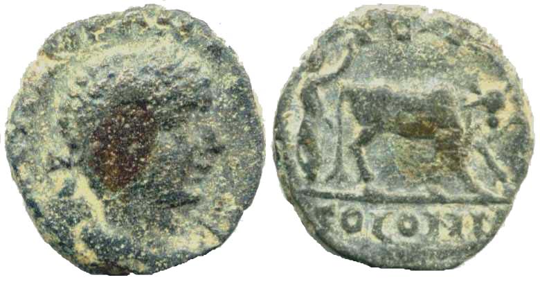 1873 Petra Decapolis-Arabia Elagabalus AE