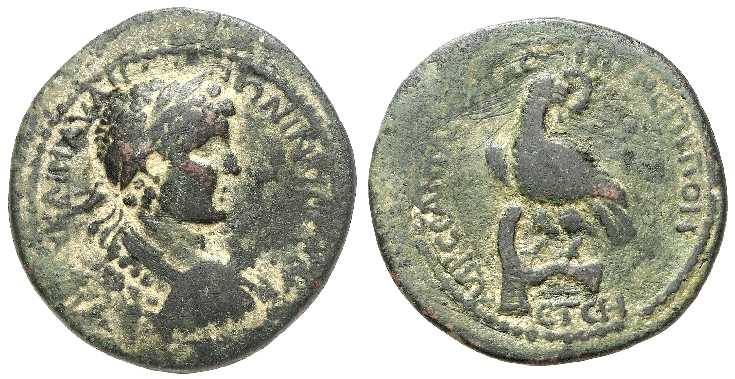 5153 Amasia Pontus Caracalla AE
