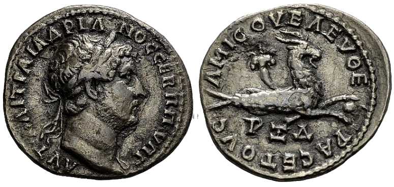 5180 Amisus Pontus Hadrianus Drachm AR