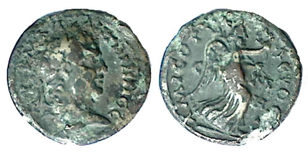 6434 Amisus Pontus Caracalla AE