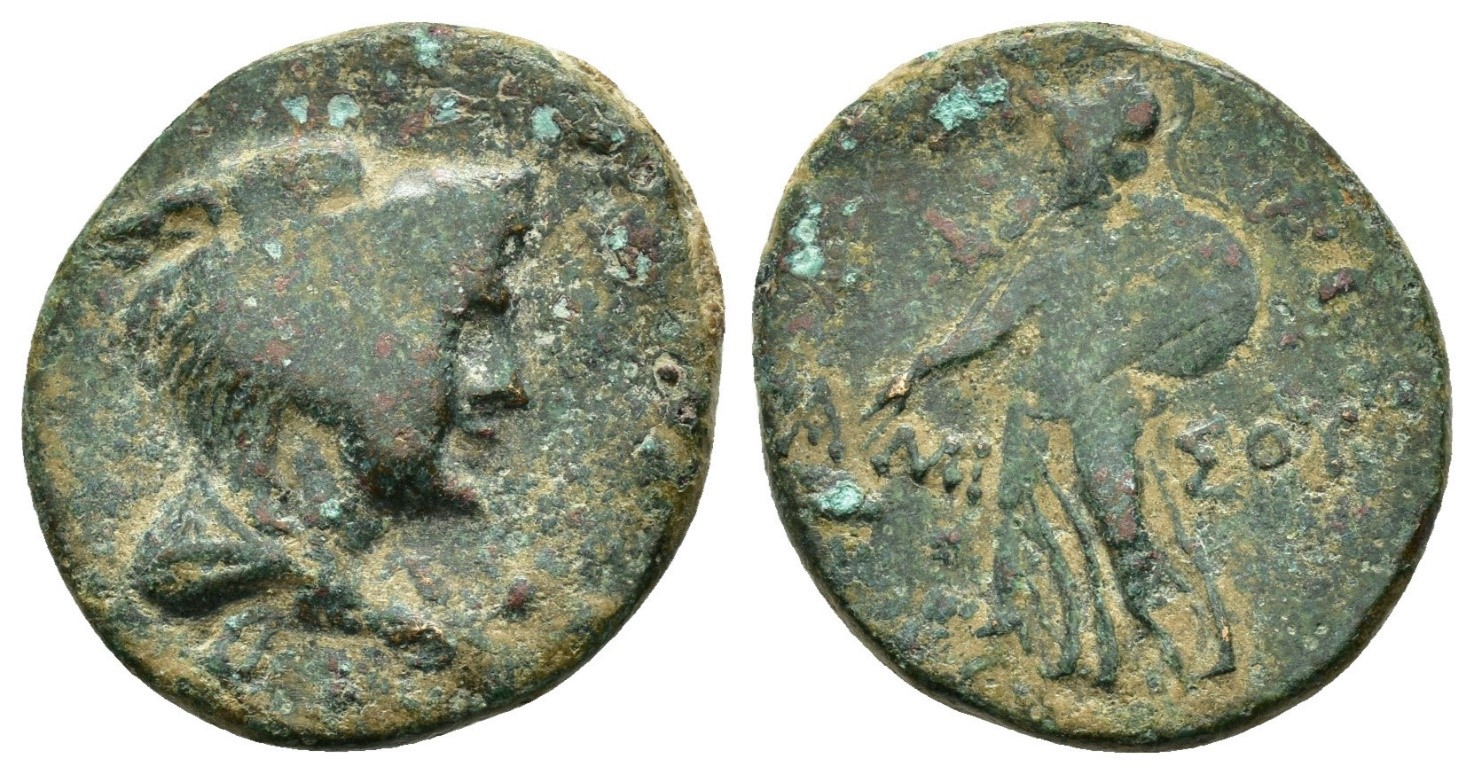 7629Amisus pontus AE