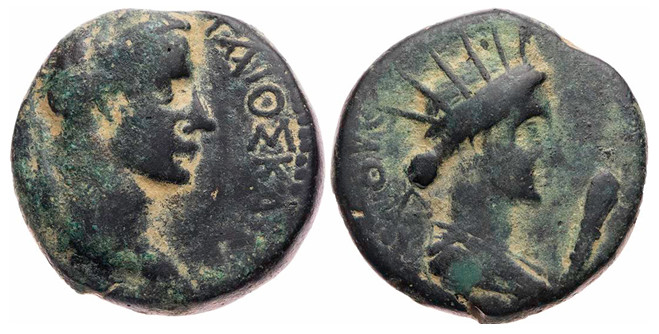 6957 Comana Pontus Caligula AE
