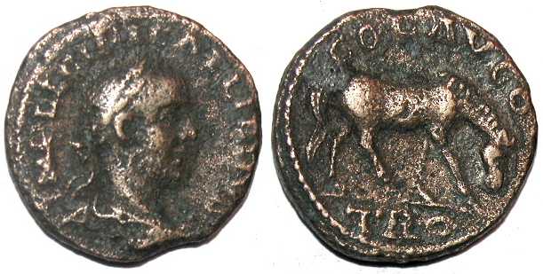 2889 Alexandreia Troas Gallienus AE